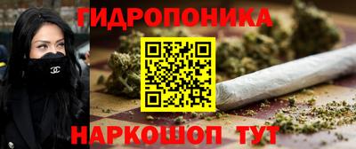 прущие грибы Кунгур