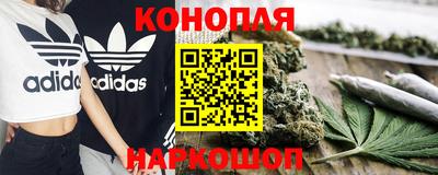 прущие грибы Кунгур