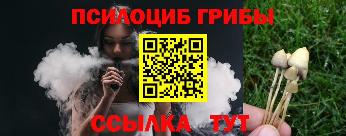 Псилоцибиновые грибы Psilocybine cubensis Зерноград
