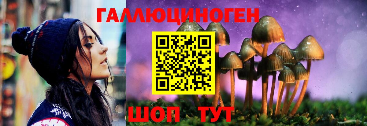 Псилоцибиновые грибы MAGIC MUSHROOMS  магазин    Зерноград  Вход с VPN 